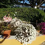 Semesterbostad Quinta Da Bizelga *