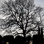 Quinta Da Bizelga Tomar