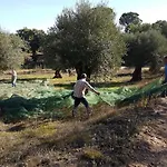 Quinta Da Bizelga Tomar