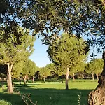 Semesterbostad Quinta Da Bizelga *