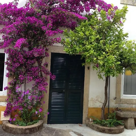Quinta Da Bizelga Сasa de vacaciones Tomar