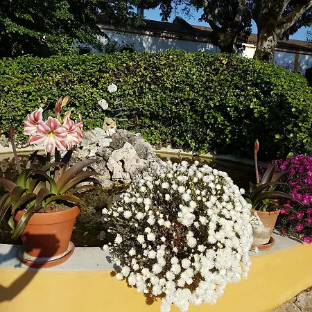 Сasa de vacaciones Quinta Da Bizelga *