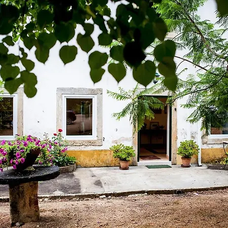 Quinta Da Bizelga 別荘