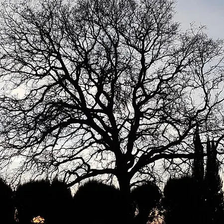 Quinta Da Bizelga Tomar