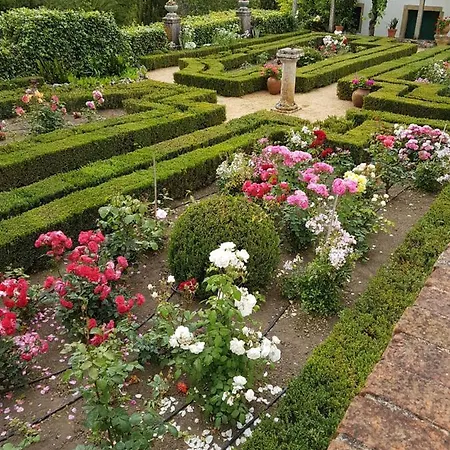 Quinta Da Bizelga *