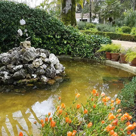 Quinta Da Bizelga