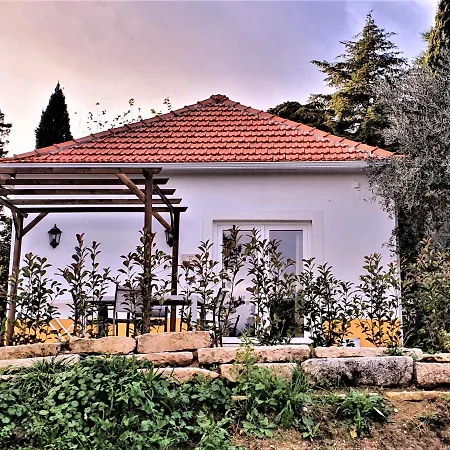 Quinta Da Bizelga Casa de Férias