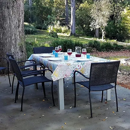 Quinta Da Bizelga Holiday home Tomar