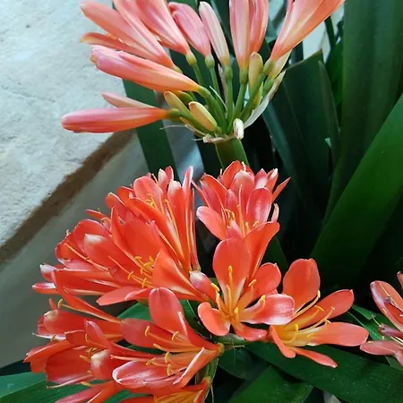 Quinta Da Bizelga Tomar