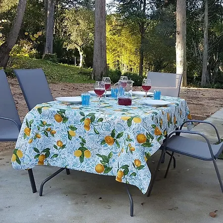 Quinta Da Bizelga