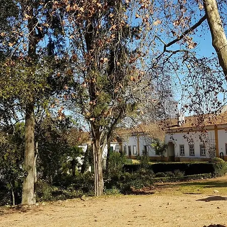 Quinta Da Bizelga Holiday home Tomar