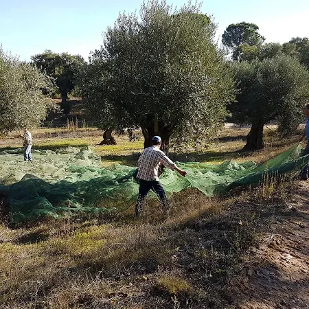 Quinta Da Bizelga Tomar