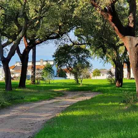 Quinta Da Bizelga