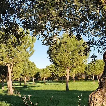 Holiday home Quinta Da Bizelga *