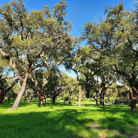 Quinta Da Bizelga