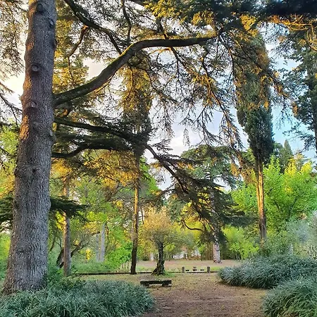 Quinta Da Bizelga Prázdninový dům