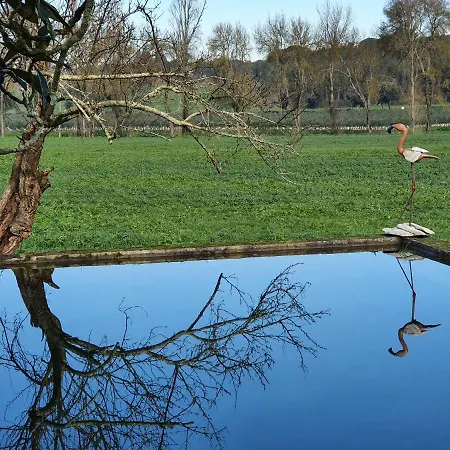 Quinta Da Bizelga Feriehus