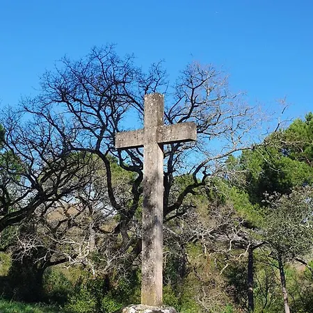 Quinta Da Bizelga Сasa de vacaciones Tomar