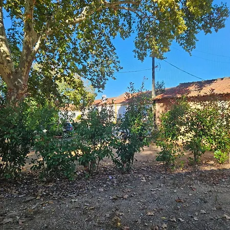 Quinta Da Bizelga Tomar