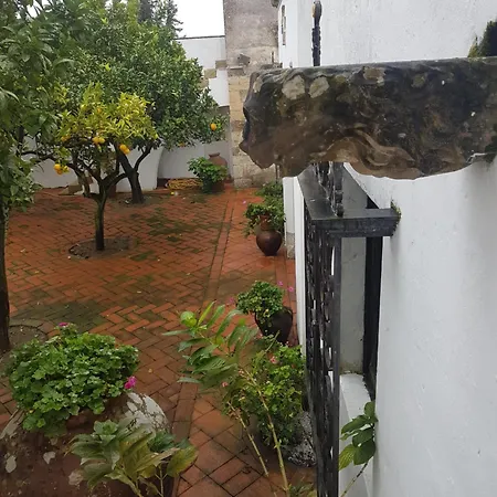Quinta Da Bizelga 別荘