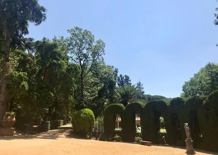 Quinta Da Bizelga * Tomar