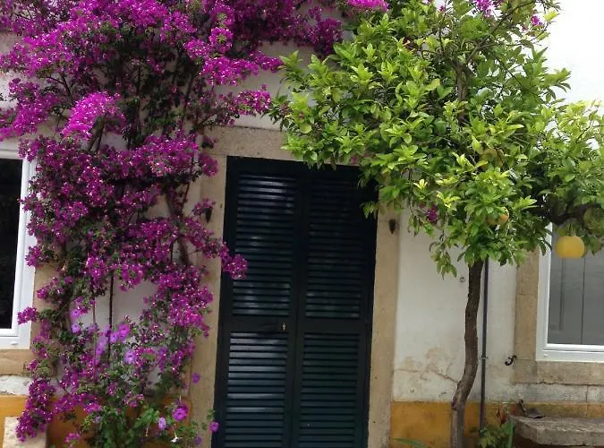 Quinta Da Bizelga Casa vacanze Tomar