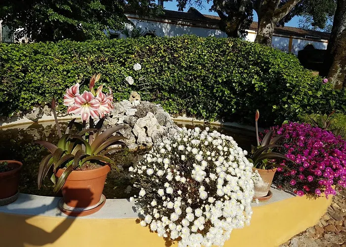 Casa de Férias Quinta Da Bizelga *