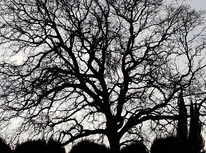 Quinta Da Bizelga Tomar