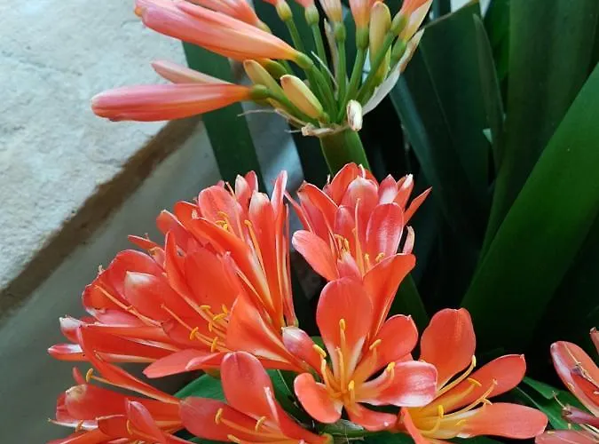 Quinta Da Bizelga Tomar