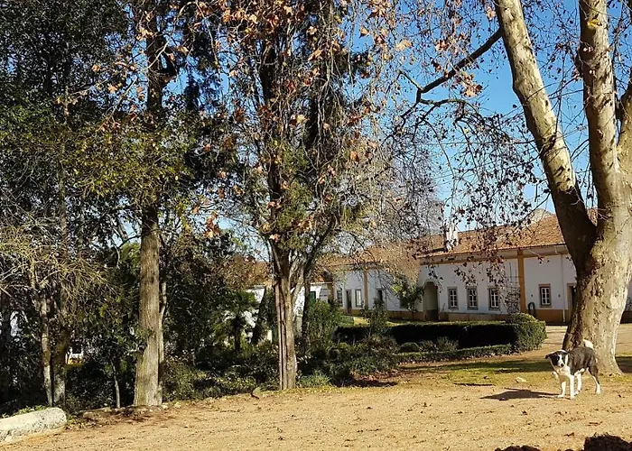 Quinta Da Bizelga Casa vacanze Tomar