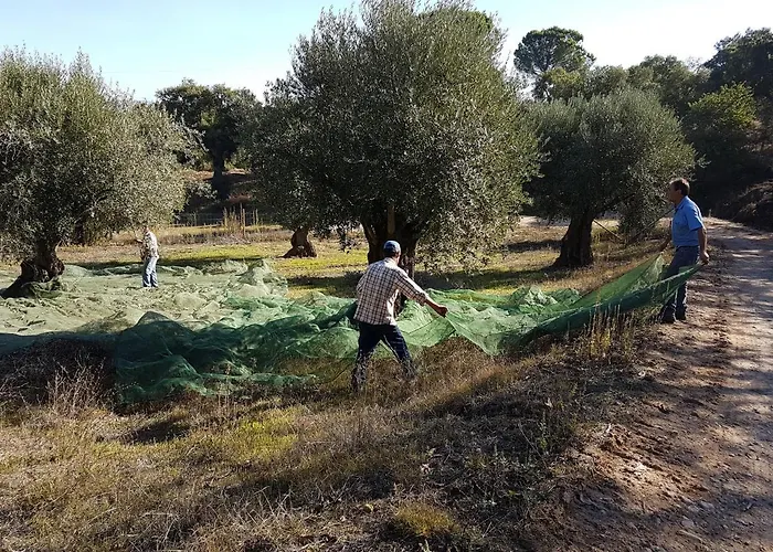 Quinta Da Bizelga Tomar