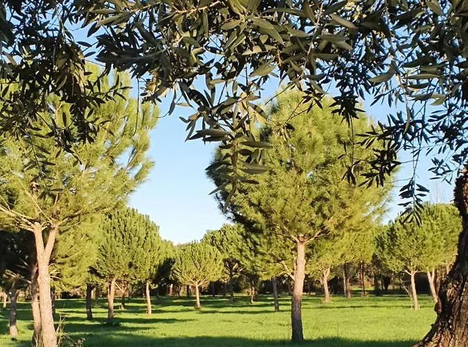 Feriehus Quinta Da Bizelga *