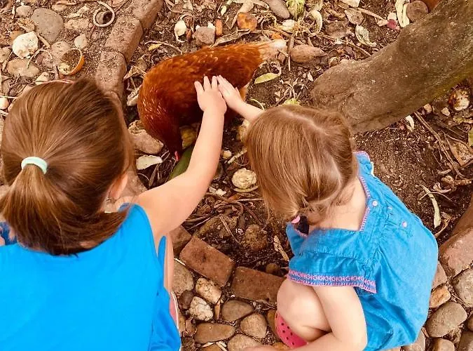 Casa de Férias Quinta Da Bizelga