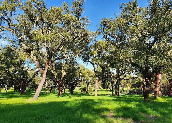 Quinta Da Bizelga