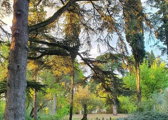 Quinta Da Bizelga Дом отдыха