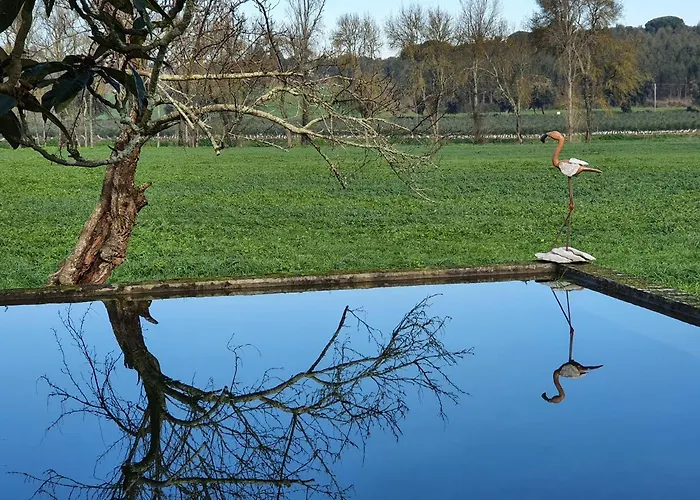 Quinta Da Bizelga Casa vacanze