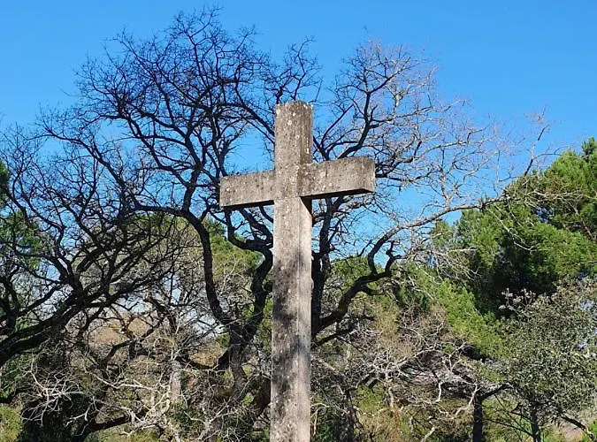 Quinta Da Bizelga 펜션 토마르
